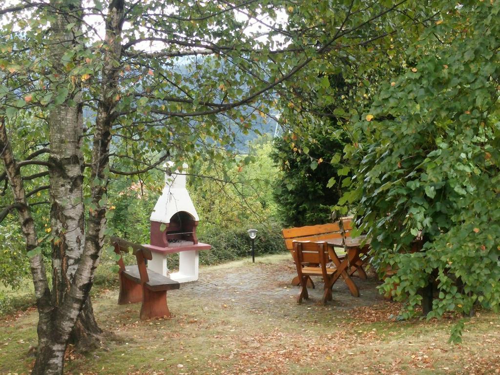 Willa Panorama Spa Ustroń Exterior foto